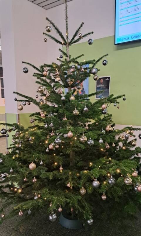 Weihnachtsbaum